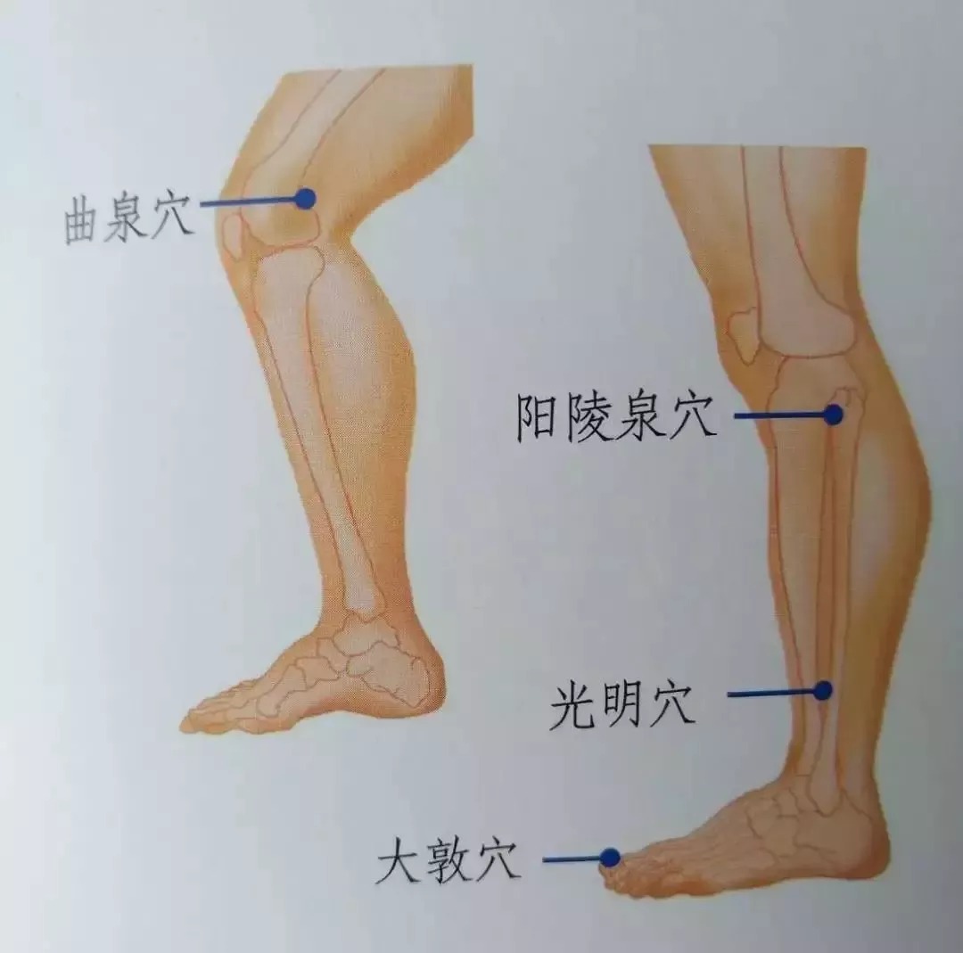 1607937016333676.jpg download(7).jpg